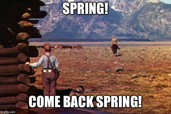 SPRING! COME BACK SPRING! | image tagged in spring | made w/ Imgflip meme maker