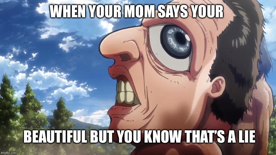 Attack on titan | WHEN YOUR MOM SAYS YOUR; BEAUTIFUL BUT YOU KNOW THAT’S A LIE | image tagged in attack on titan | made w/ Imgflip meme maker
