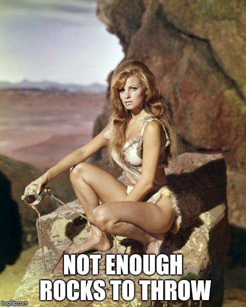 Raquel Welch | NOT ENOUGH ROCKS TO THROW | image tagged in raquel welch | made w/ Imgflip meme maker