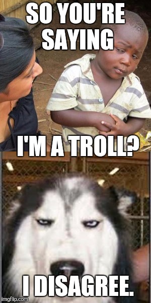 SO YOU'RE SAYING I'M A TROLL? I DISAGREE. | made w/ Imgflip meme maker