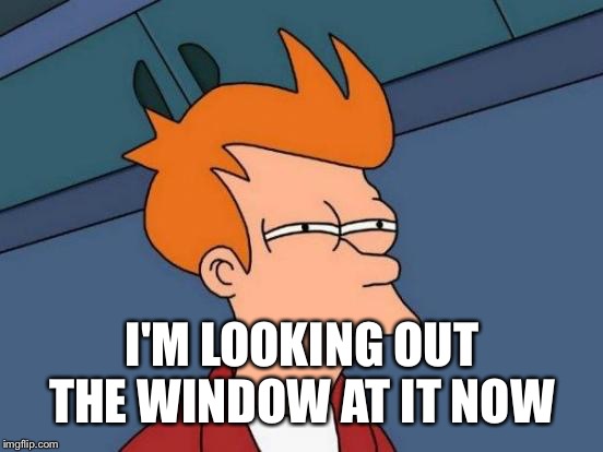 Futurama Fry Meme | I'M LOOKING OUT THE WINDOW AT IT NOW | image tagged in memes,futurama fry | made w/ Imgflip meme maker