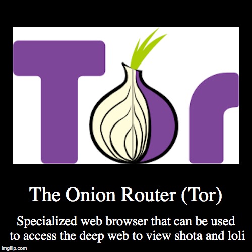 the onion router app