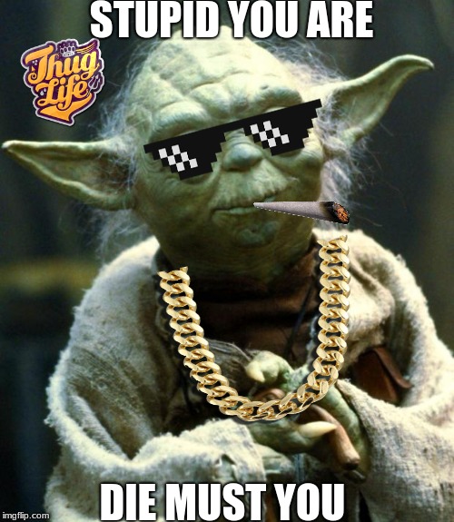 Star Wars Yoda | STUPID YOU ARE; DIE MUST YOU | image tagged in memes,star wars yoda | made w/ Imgflip meme maker