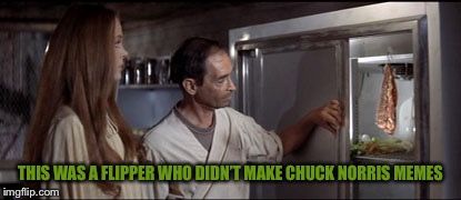 THIS WAS A FLIPPER WHO DIDN’T MAKE CHUCK NORRIS MEMES | made w/ Imgflip meme maker