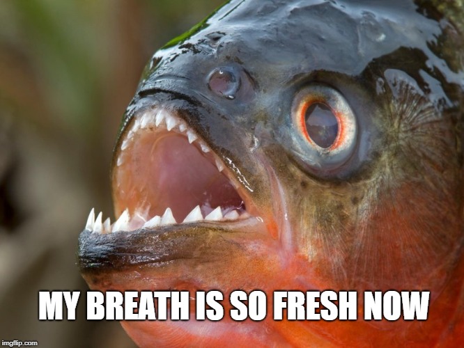 MY BREATH IS SO FRESH NOW | made w/ Imgflip meme maker