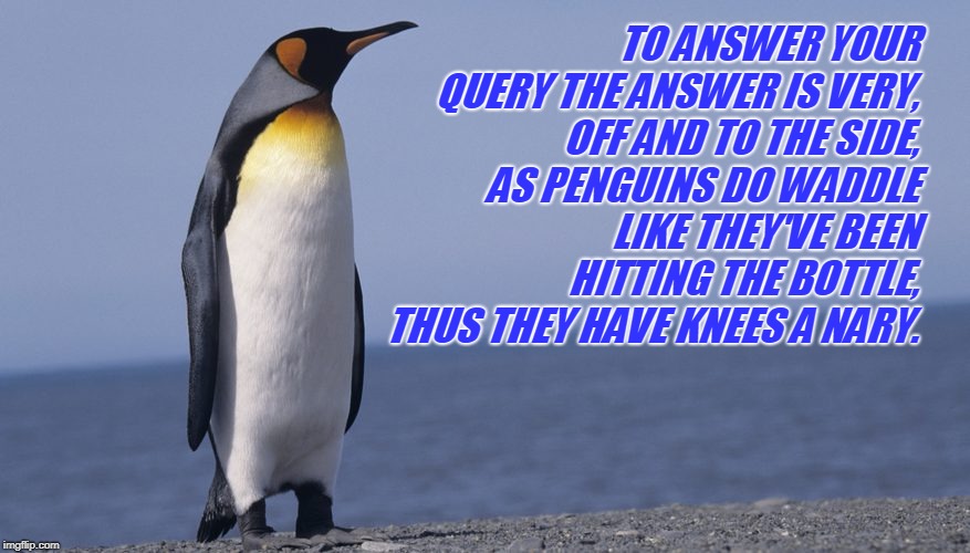 TO ANSWER YOUR QUERY THE ANSWER IS VERY, OFF AND TO THE SIDE, AS PENGUINS DO WADDLE LIKE THEY'VE BEEN HITTING THE BOTTLE, THUS THEY HAVE KNE | image tagged in penguin | made w/ Imgflip meme maker