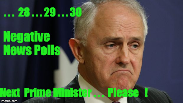 Turnbull Has Lost 30 News Polls ! | . . .  28 . . . 29 . . . 30; Negative News Polls; Next  Prime Minister . . .  Please   ! | image tagged in turnbull,malcolm turnbull,turnbull loses news poll | made w/ Imgflip meme maker