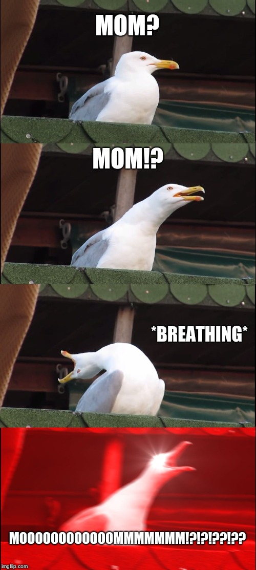 Inhaling Seagull | MOM? MOM!? *BREATHING*; MOOOOOOOOOOOOMMMMMMM!?!?!??!?? | image tagged in memes,inhaling seagull | made w/ Imgflip meme maker