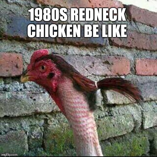 Chicken Week, April 2-8, a JBmemegeek & giveuahint event! | 1980S REDNECK CHICKEN BE LIKE | image tagged in chicken week,jbmemegeek,giveuahint,memes,redneck,1980's | made w/ Imgflip meme maker