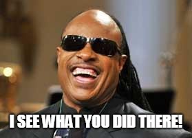 Stevie Wonder | I SEE WHAT YOU DID THERE! | image tagged in stevie wonder | made w/ Imgflip meme maker