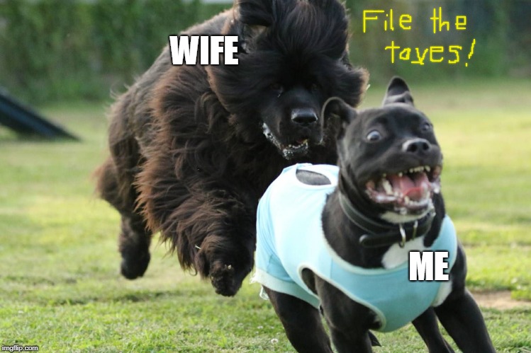 Dog chase | WIFE ME | image tagged in dog chase | made w/ Imgflip meme maker