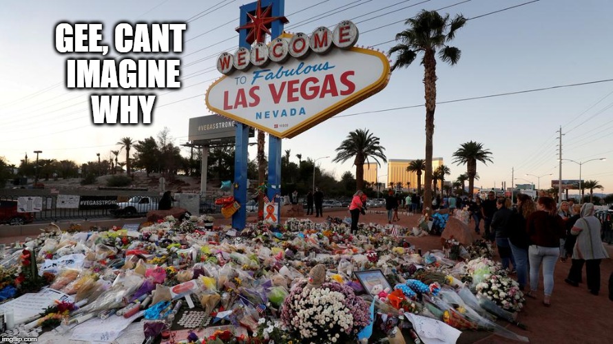 Too Many Guns | GEE, CANT IMAGINE WHY | image tagged in too many guns | made w/ Imgflip meme maker