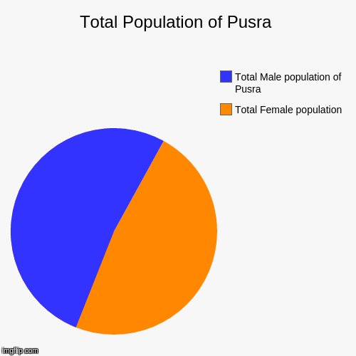 Total Population of Pusra | Total Female population, Total Male population of Pusra | image tagged in funny,pie charts | made w/ Imgflip chart maker