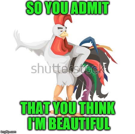 SO YOU ADMIT THAT YOU THINK I'M BEAUTIFUL | made w/ Imgflip meme maker