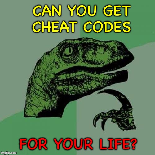 It would make things easier. | CAN YOU GET CHEAT CODES; FOR YOUR LIFE? | image tagged in memes,philosoraptor,cheat codes,funny | made w/ Imgflip meme maker