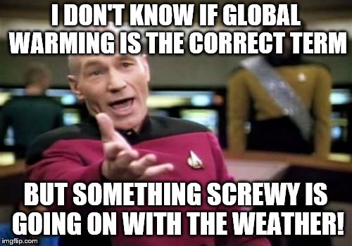 Picard Wtf Meme | I DON'T KNOW IF GLOBAL WARMING IS THE CORRECT TERM BUT SOMETHING SCREWY IS GOING ON WITH THE WEATHER! | image tagged in memes,picard wtf | made w/ Imgflip meme maker