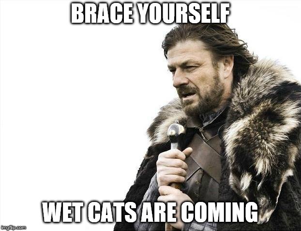 Brace Yourselves X is Coming Meme | BRACE YOURSELF; WET CATS ARE COMING | image tagged in memes,brace yourselves x is coming | made w/ Imgflip meme maker