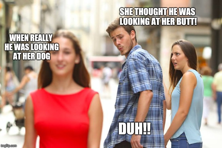 Distracted Boyfriend | SHE THOUGHT HE WAS LOOKING AT HER BUTT! WHEN REALLY HE WAS LOOKING AT HER DOG; DUH!! | image tagged in memes,distracted boyfriend | made w/ Imgflip meme maker