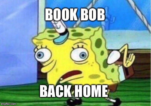 Mocking Spongebob Meme | BOOK BOB BACK HOME | image tagged in memes,mocking spongebob | made w/ Imgflip meme maker