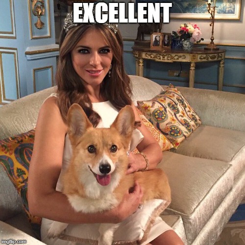 Liz | EXCELLENT | image tagged in liz | made w/ Imgflip meme maker