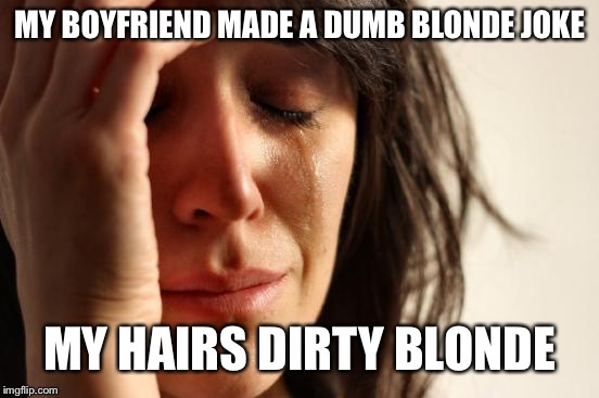 First World Problems Meme | MY BOYFRIEND MADE A DUMB BLONDE JOKE; MY HAIRS DIRTY BLONDE | image tagged in memes,first world problems | made w/ Imgflip meme maker