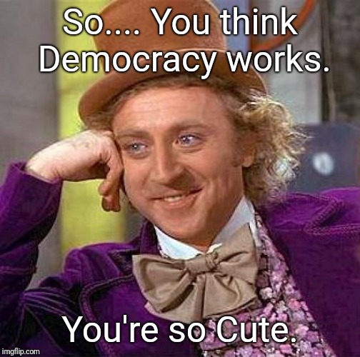 Creepy Condescending Wonka Meme | So.... You think Democracy works. You're so Cute. | image tagged in memes,creepy condescending wonka | made w/ Imgflip meme maker