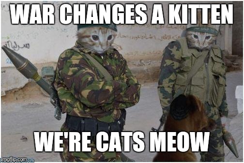 Soldier cats | WAR CHANGES A KITTEN; WE'RE CATS MEOW | image tagged in soldier cats | made w/ Imgflip meme maker
