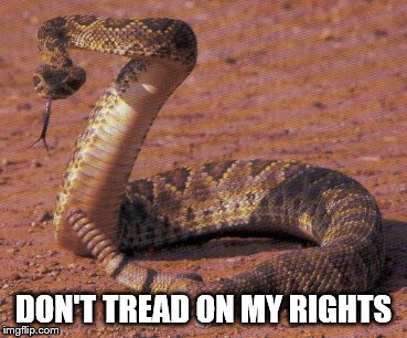 snake bite  | DON'T TREAD ON MY RIGHTS | image tagged in snake bite | made w/ Imgflip meme maker