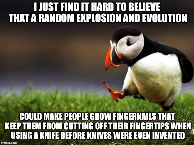 Everything is a Miraculous Coincidence  | I JUST FIND IT HARD TO BELIEVE THAT A RANDOM EXPLOSION AND EVOLUTION; COULD MAKE PEOPLE GROW FINGERNAILS THAT KEEP THEM FROM CUTTING OFF THEIR FINGERTIPS WHEN USING A KNIFE BEFORE KNIVES WERE EVEN INVENTED | image tagged in memes,unpopular opinion puffin | made w/ Imgflip meme maker