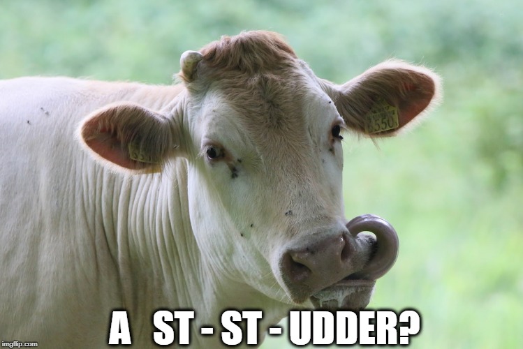 A   ST - ST - UDDER? | made w/ Imgflip meme maker