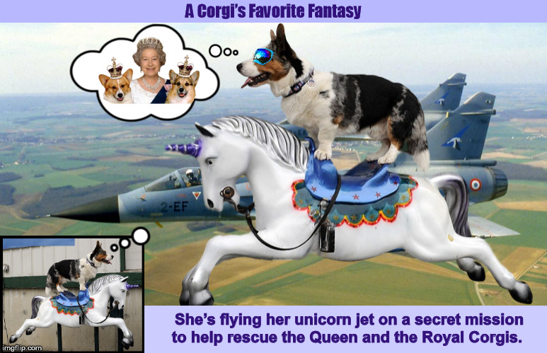A Corgi’s Favorite Fantasy | image tagged in corgi,queen elizabeth,dogs,fantasy,funny,memes | made w/ Imgflip meme maker