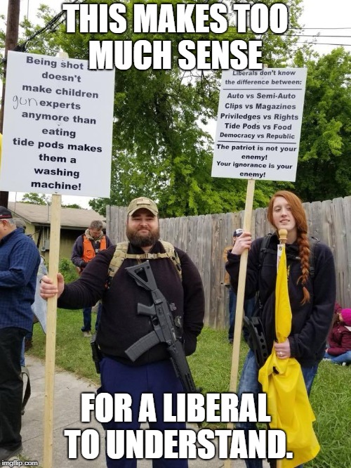 Too much logic for on lib to handle. | THIS MAKES TOO MUCH SENSE; FOR A LIBERAL TO UNDERSTAND. | image tagged in stupid liberals,liberal vs conservative,gun control | made w/ Imgflip meme maker