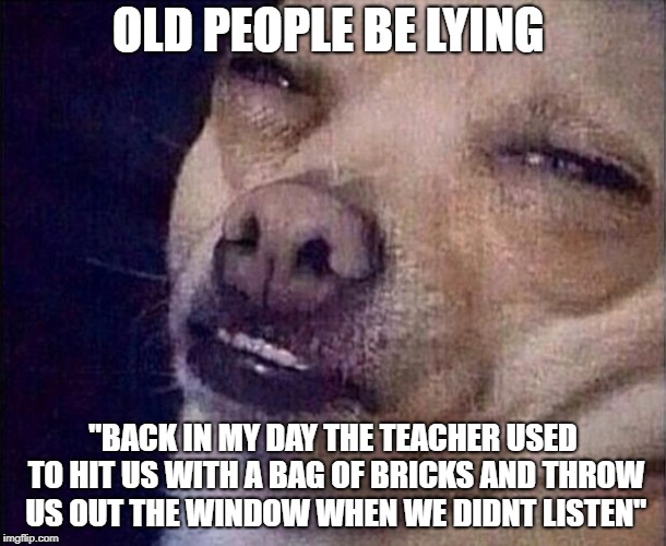 TF | OLD PEOPLE BE LYING; "BACK IN MY DAY THE TEACHER USED TO HIT US WITH A BAG OF BRICKS AND THROW US OUT THE WINDOW WHEN WE DIDNT LISTEN" | image tagged in tf | made w/ Imgflip meme maker