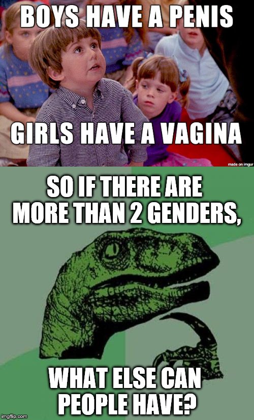 What makes a gender? | SO IF THERE ARE MORE THAN 2 GENDERS, WHAT ELSE CAN PEOPLE HAVE? | image tagged in kindergarten cop,philosoraptor | made w/ Imgflip meme maker