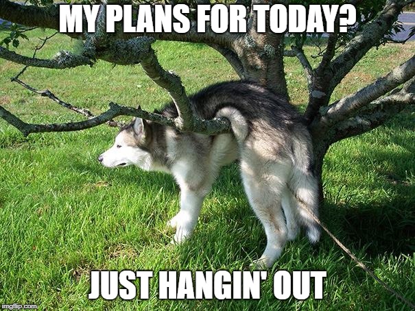 lifesucks | MY PLANS FOR TODAY? JUST HANGIN' OUT | image tagged in lifesucks | made w/ Imgflip meme maker