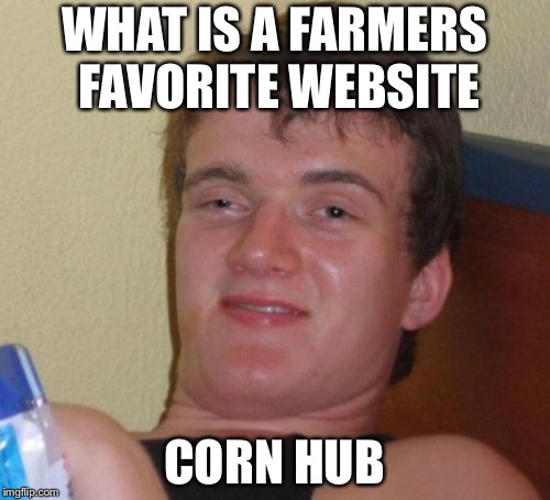 10 Guy | WHAT IS A FARMERS FAVORITE WEBSITE; CORN HUB | image tagged in memes,10 guy | made w/ Imgflip meme maker