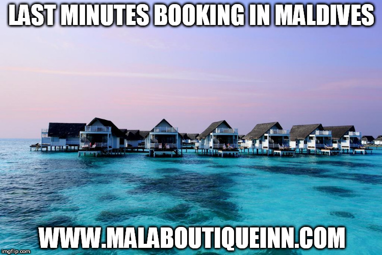 LAST MINUTES BOOKING IN MALDIVES; WWW.MALABOUTIQUEINN.COM | made w/ Imgflip meme maker