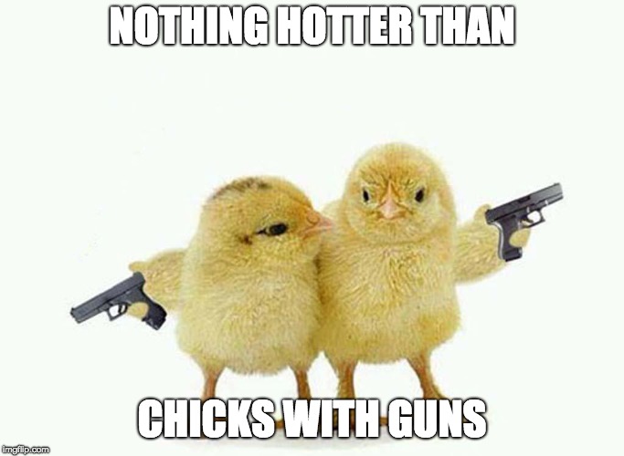 Chicks With Guns | NOTHING HOTTER THAN; CHICKS WITH GUNS | image tagged in chicks,guns,funny,funny meme | made w/ Imgflip meme maker