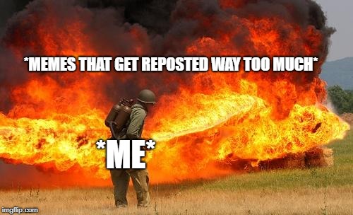 Nope flamethrower | *MEMES THAT GET REPOSTED WAY TOO MUCH*; *ME* | image tagged in nope flamethrower | made w/ Imgflip meme maker