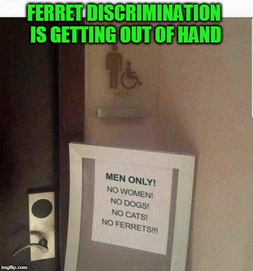 FERRET DISCRIMINATION IS GETTING OUT OF HAND | image tagged in discrimination,ferrets,bathroom | made w/ Imgflip meme maker