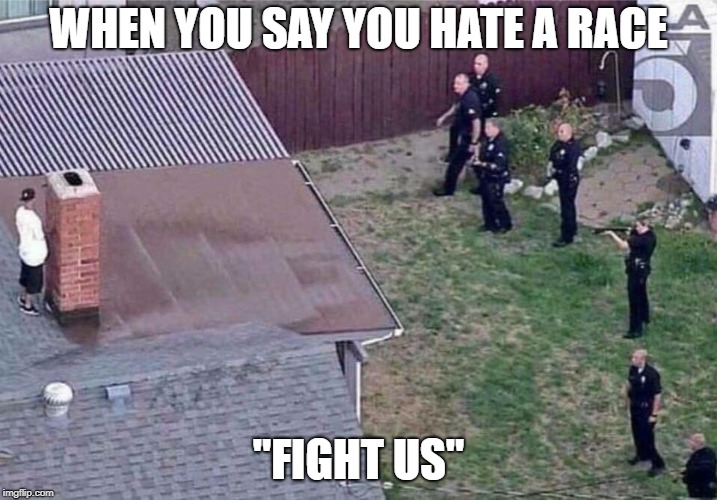 Fortnite meme | WHEN YOU SAY YOU HATE A RACE; "FIGHT US" | image tagged in fortnite meme | made w/ Imgflip meme maker