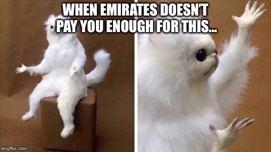 Wtf Cat | WHEN EMIRATES DOESN’T PAY YOU ENOUGH FOR THIS... | image tagged in wtf cat | made w/ Imgflip meme maker