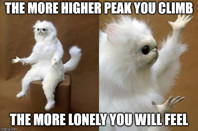 Persian Cat Room Guardian | THE MORE HIGHER PEAK YOU CLIMB; THE MORE LONELY YOU WILL FEEL | image tagged in memes,persian cat room guardian | made w/ Imgflip meme maker