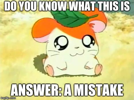 Hamtaro | DO YOU KNOW WHAT THIS IS; ANSWER: A MISTAKE | image tagged in memes,hamtaro | made w/ Imgflip meme maker