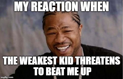 Yo Dawg Heard You Meme | MY REACTION WHEN; THE WEAKEST KID THREATENS TO BEAT ME UP | image tagged in memes,yo dawg heard you | made w/ Imgflip meme maker