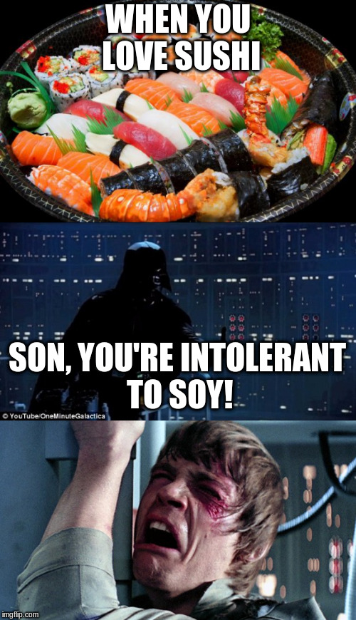 Ready to jump 3... 2... 1... | WHEN YOU LOVE SUSHI; SON, YOU'RE INTOLERANT TO SOY! | image tagged in vader,sushi,funny memes,sad memes,allergy | made w/ Imgflip meme maker