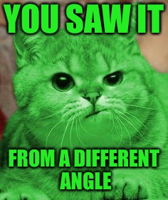 RayCat Annoyed | YOU SAW IT FROM A DIFFERENT ANGLE | image tagged in raycat annoyed | made w/ Imgflip meme maker