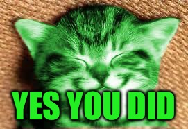 happy RayCat | YES YOU DID | image tagged in happy raycat | made w/ Imgflip meme maker