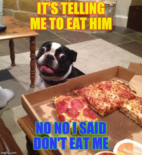 Hungry Pizza Dog | IT'S TELLING ME TO EAT HIM; NO NO I SAID DON'T EAT ME | image tagged in hungry pizza dog | made w/ Imgflip meme maker