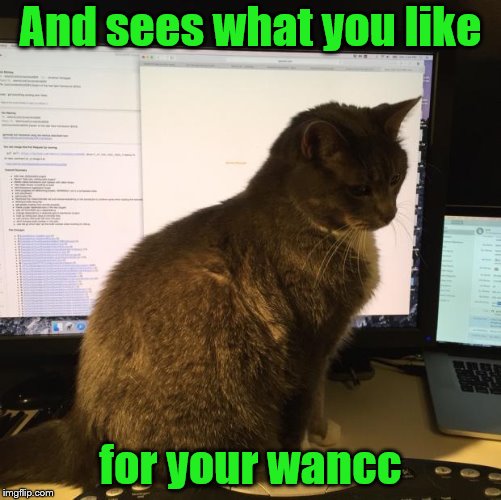 And sees what you like for your wancc | made w/ Imgflip meme maker